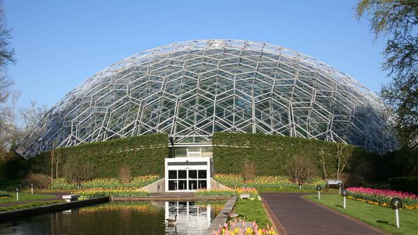 Botanists develop a model for times when a plant thriving in a garden is a matter of life and death