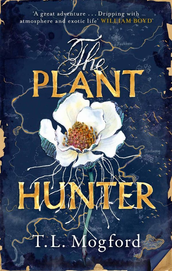 Novel tree hunted by fictional Victorians