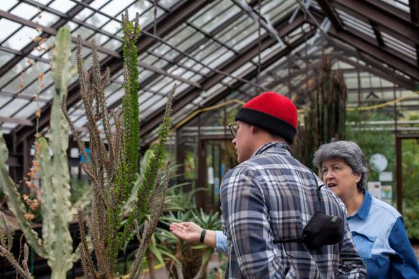 Are Botanists Threatened with Extinction?