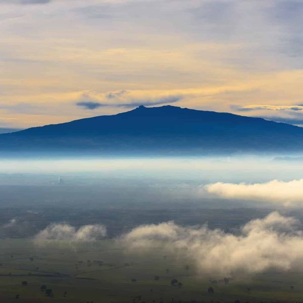 How does environment affect biodiversity? Did Humboldt get it right?