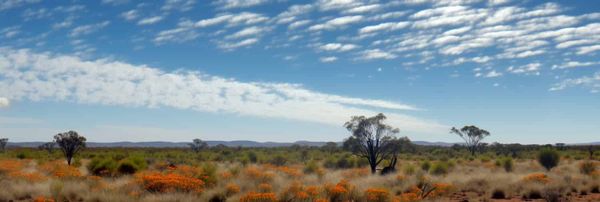 An imagined Australian Outback.