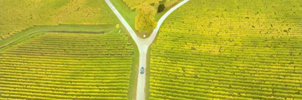 A car travelling in on a road among fields.
