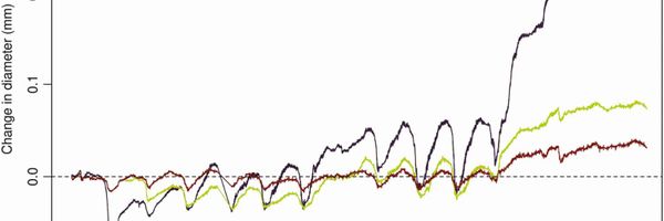 Close-up of a hydraulic graph