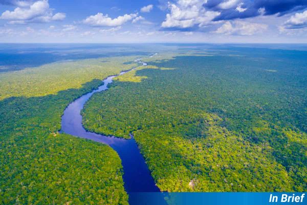 Amazonia
