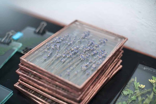 Pressed flowers