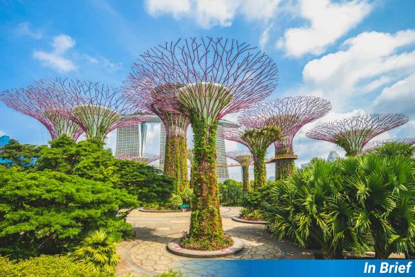 Metal trees in Singapore.