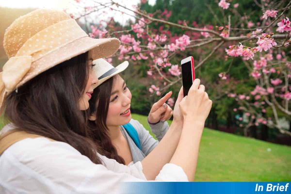 Two women using a smartphone looking at a tree.