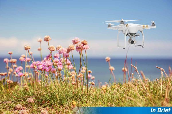 A drone is photoshopped over some wildflowers in an unconvincing way.