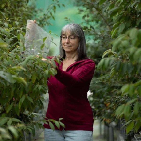 Karen Sommerville wearing glasses and a burgundy long-sleeved top, standing among green foliage in what appears to be a garde