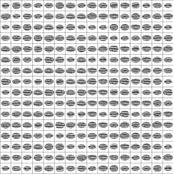 Synthetic Stomata: Leveraging Artificial Imagery for Improved Stomatal Analysis