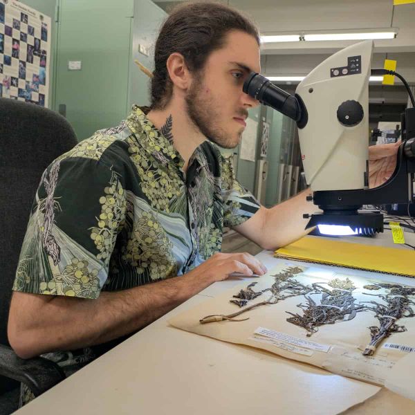 Kevin Faccenda stares into a confocal microscope examining botanical details.
