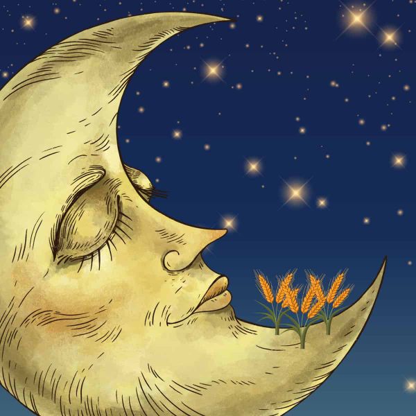 A whimsical illustration of wheat plants growing on the surface of a personified crescent moon against a starry night sky.