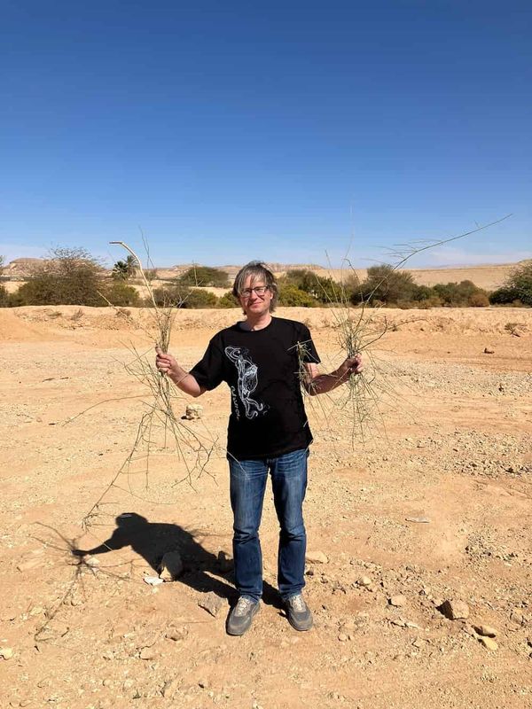 Dmitry Sokoloff: “Be Fascinated by Plant Diversity”