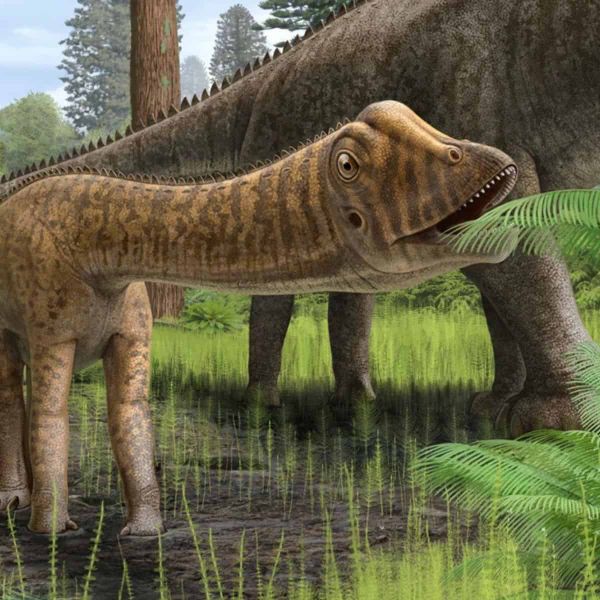 Unveiling Herbivorous Dinosaur Diets Through Calcium Clues
