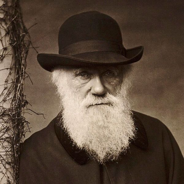Bringing Darwin’s Botanical Work Into the Spotlight