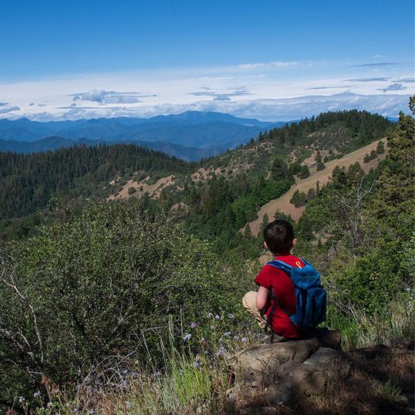 More Heart than Logic: What Drives a Scientist to Pursue Botany?