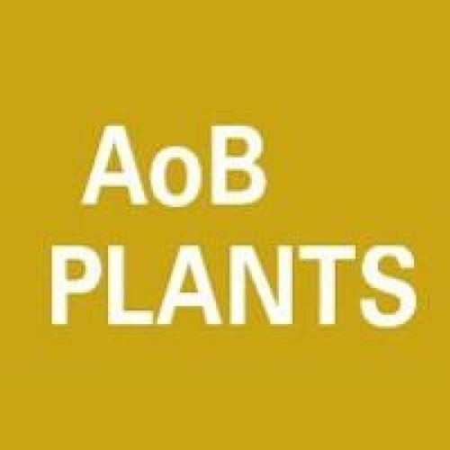 Botany One
