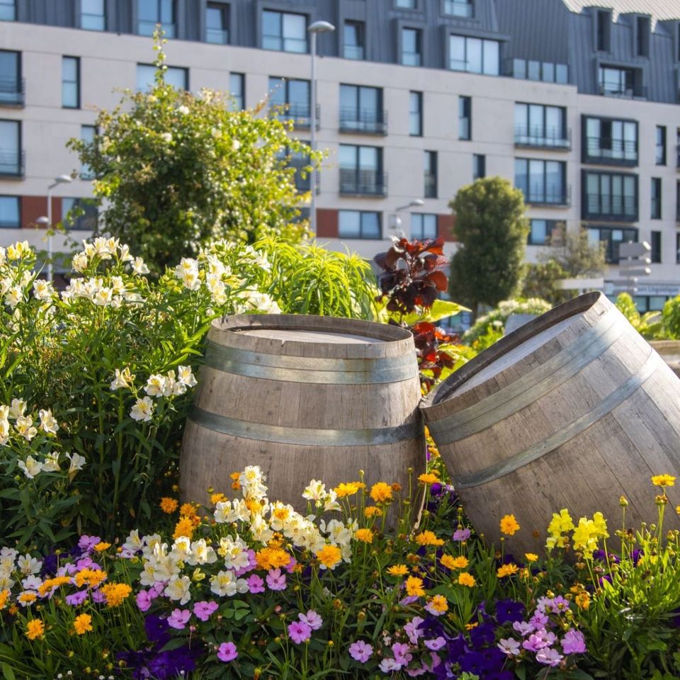 What Draws Pollinators to City Gardens?