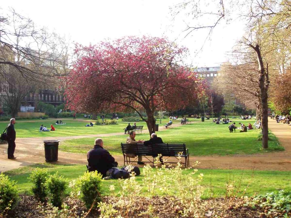 Humans Have a Profound Impact on Urban Biodiversity