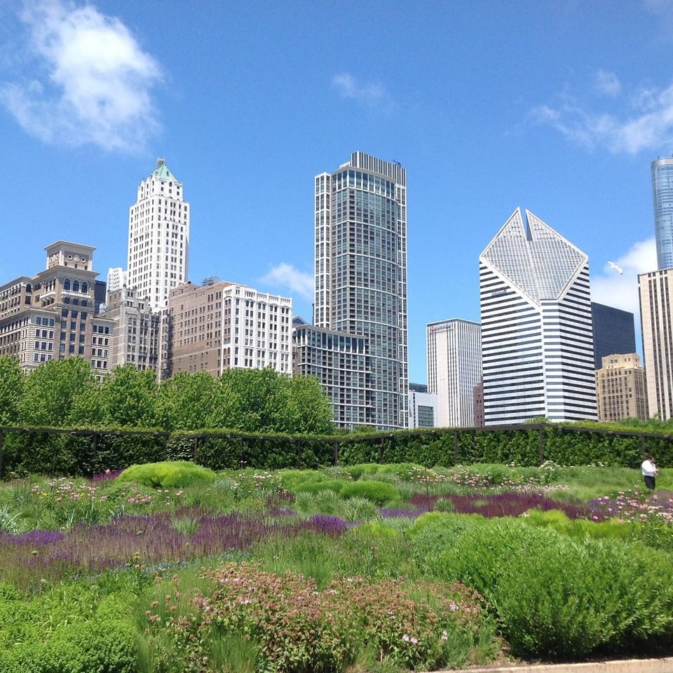 Should Cities Fight or Embrace Changing Nature?
