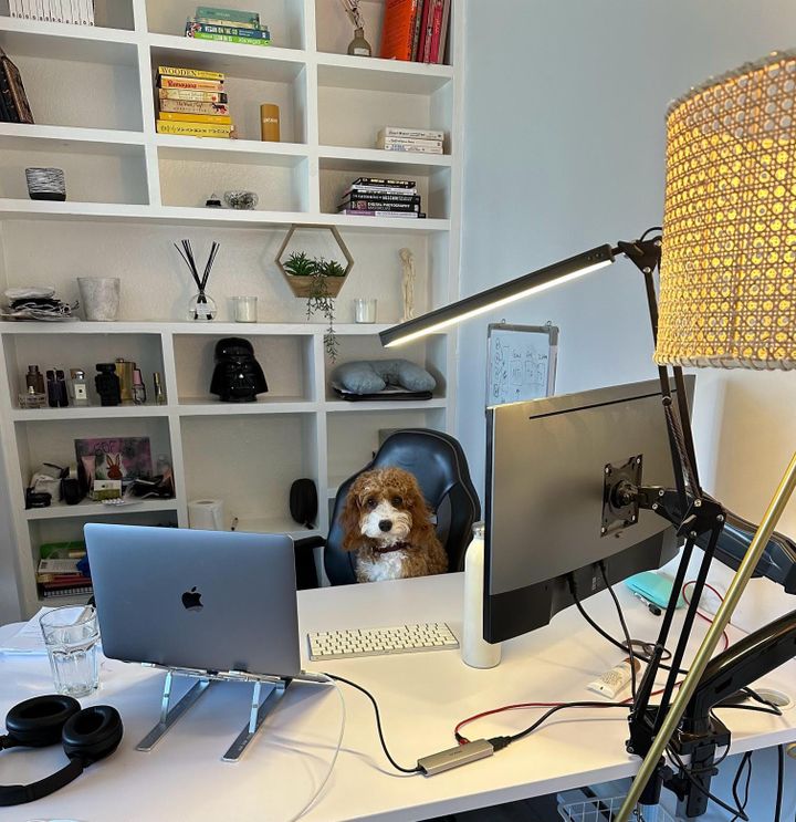 The reality of startup life