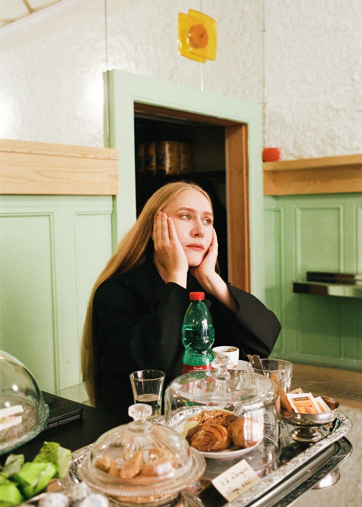 Saga Cavallin: En roman för r/FanTheories