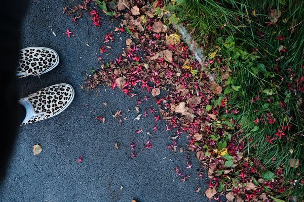 September snapshots