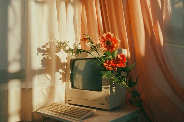 Why you need a website (yes, you)