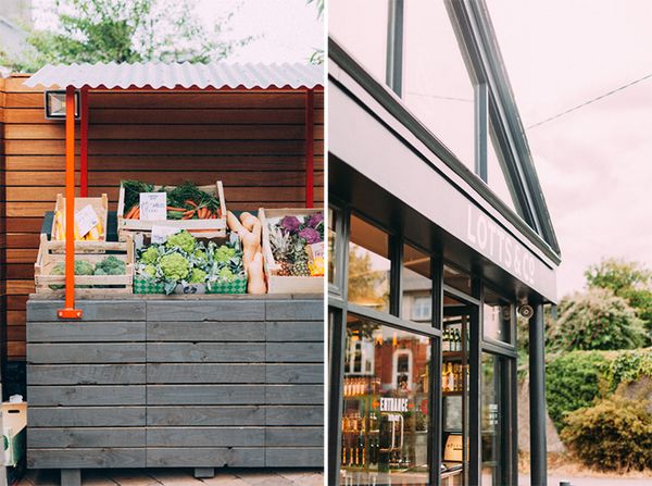 Lotts & Co Grocery