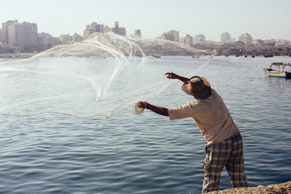 Gaza Port | nathalie.ie