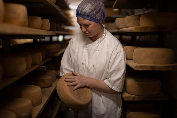 Recent Work: Women in Food on the West Coast for Saveur Magazine