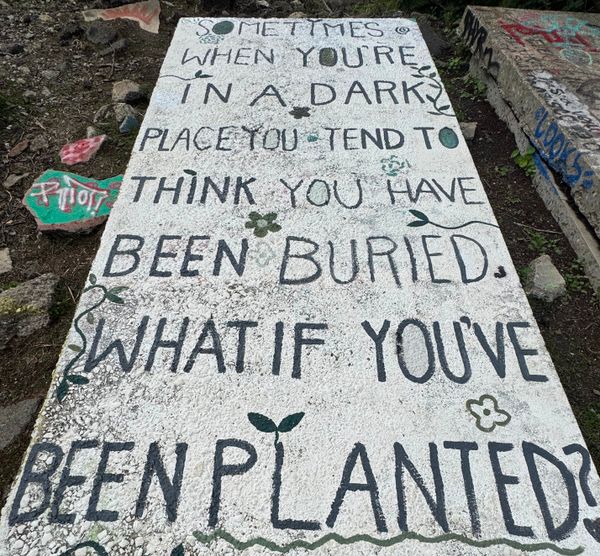 What If You’ve Been Planted?
