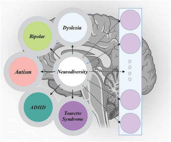 Understanding Neurodivergence as Natural Human Variation