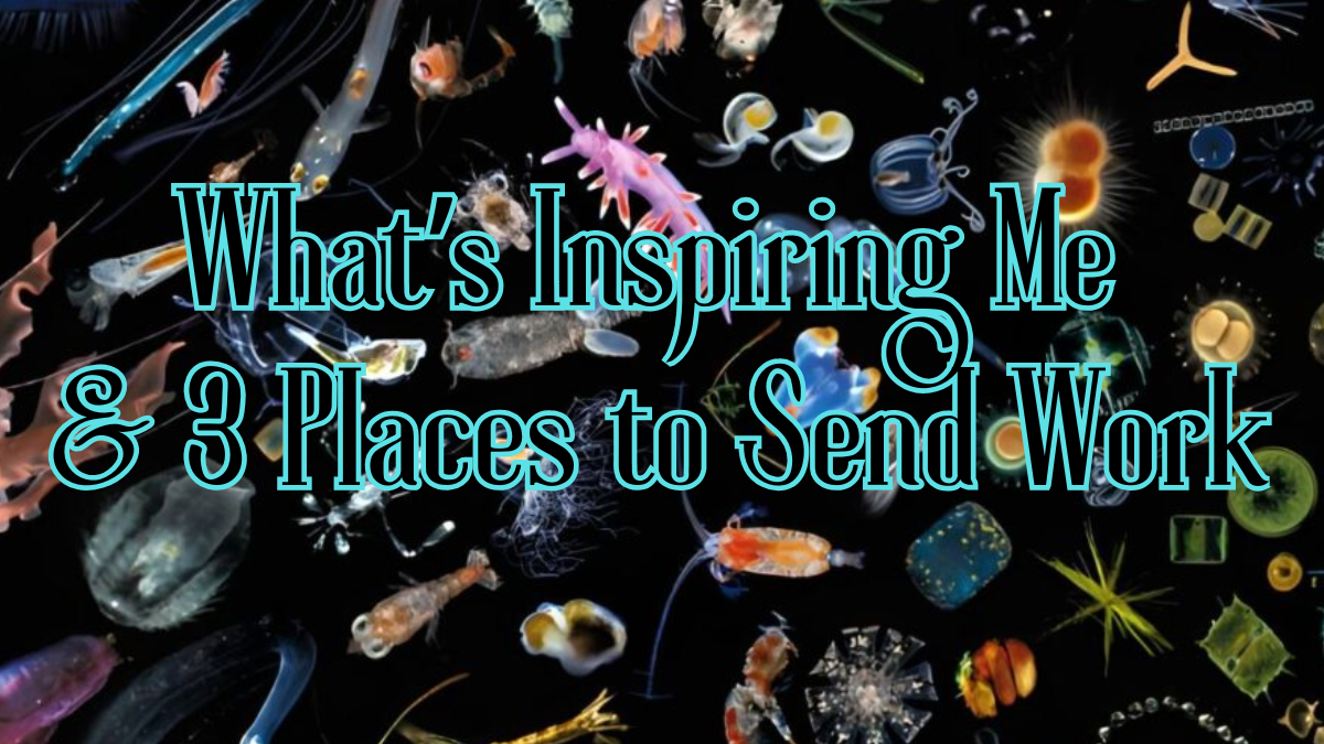 Rainbow plankton + Text; What's inspiring me & 3 places to send work. 