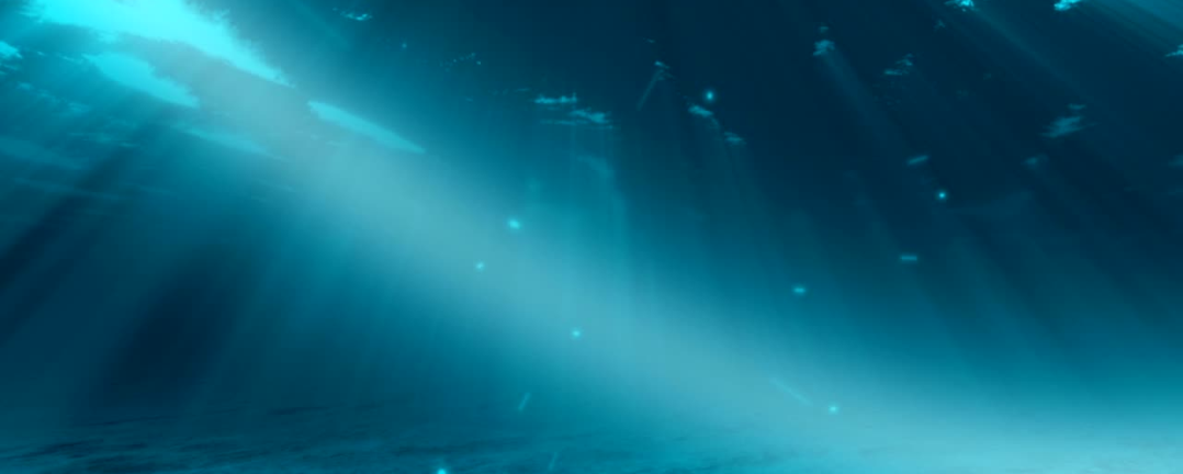 Star Maps And Sea Monsters