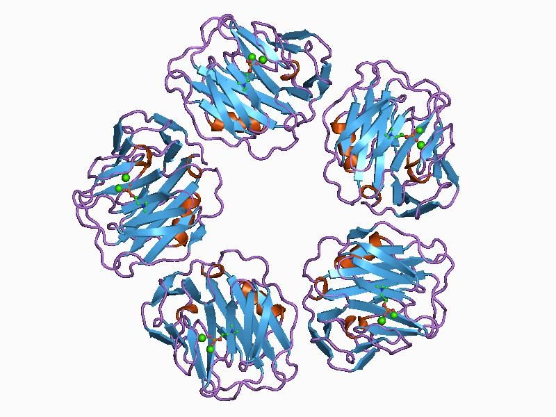 C-reactive protein (CRP).