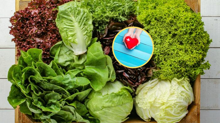 Qual è l’unica insalata che contiene Omega‑3?