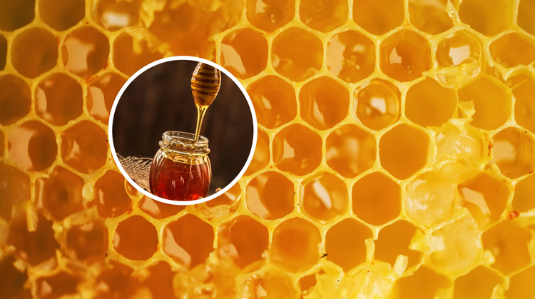 Perché il miele si conserva “per sempre”?