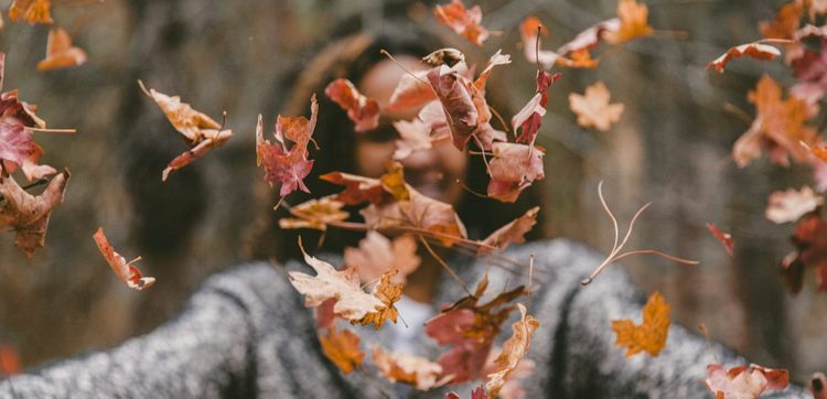 Perché perdiamo più capelli in autunno?