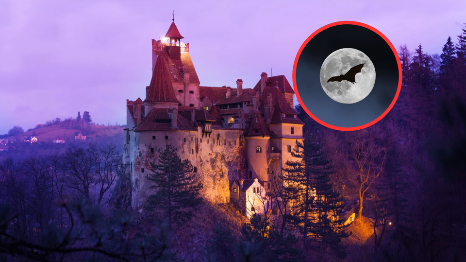 I 10 migliori film di vampiri dal 1922 a oggi