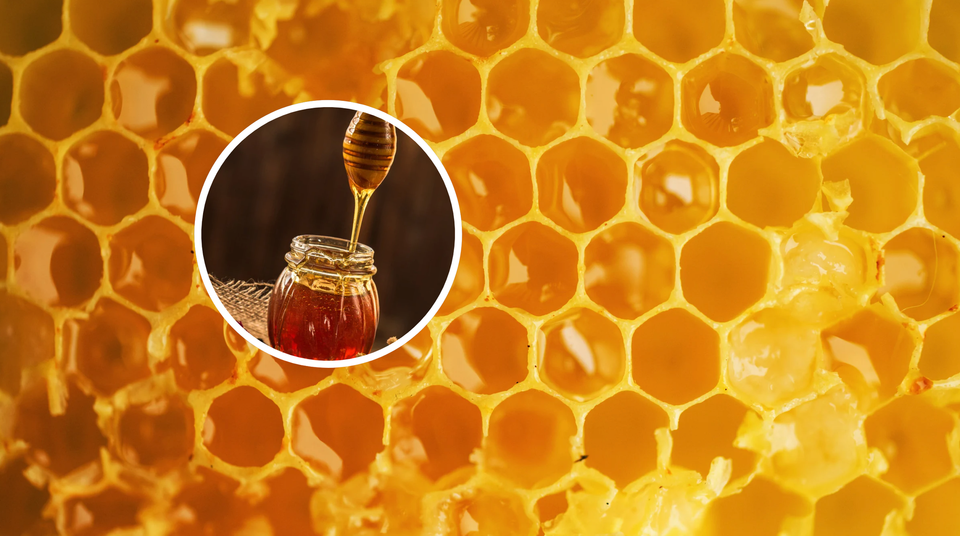 Perché il miele si conserva “per sempre”?