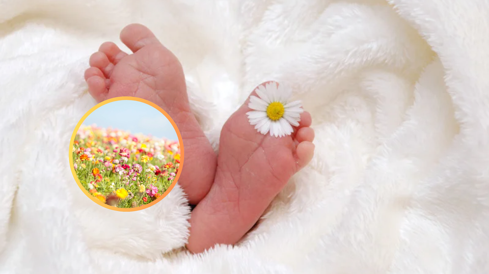 Qual è il fiore del tuo mese di nascita? Scopri il suo significato simbolico