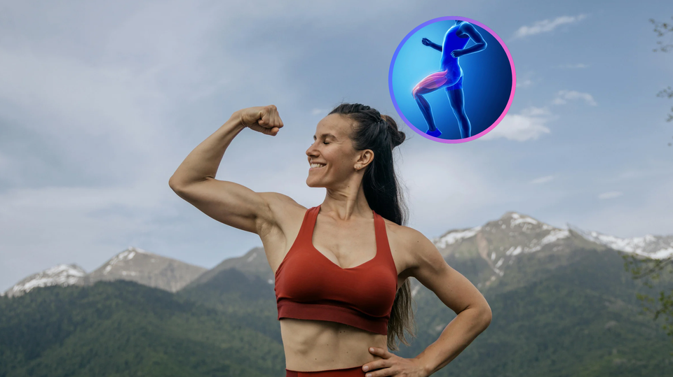 Qual è il muscolo più potente del corpo umano?