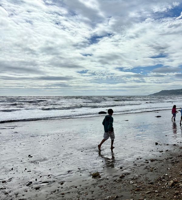 Fossil Hunting at the Jurassic Coast