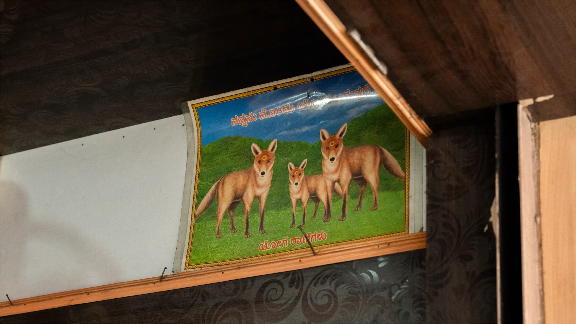 A framed poster print of foxes hangs on the wall inside their shop