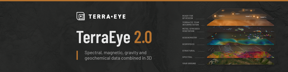About TerraEye