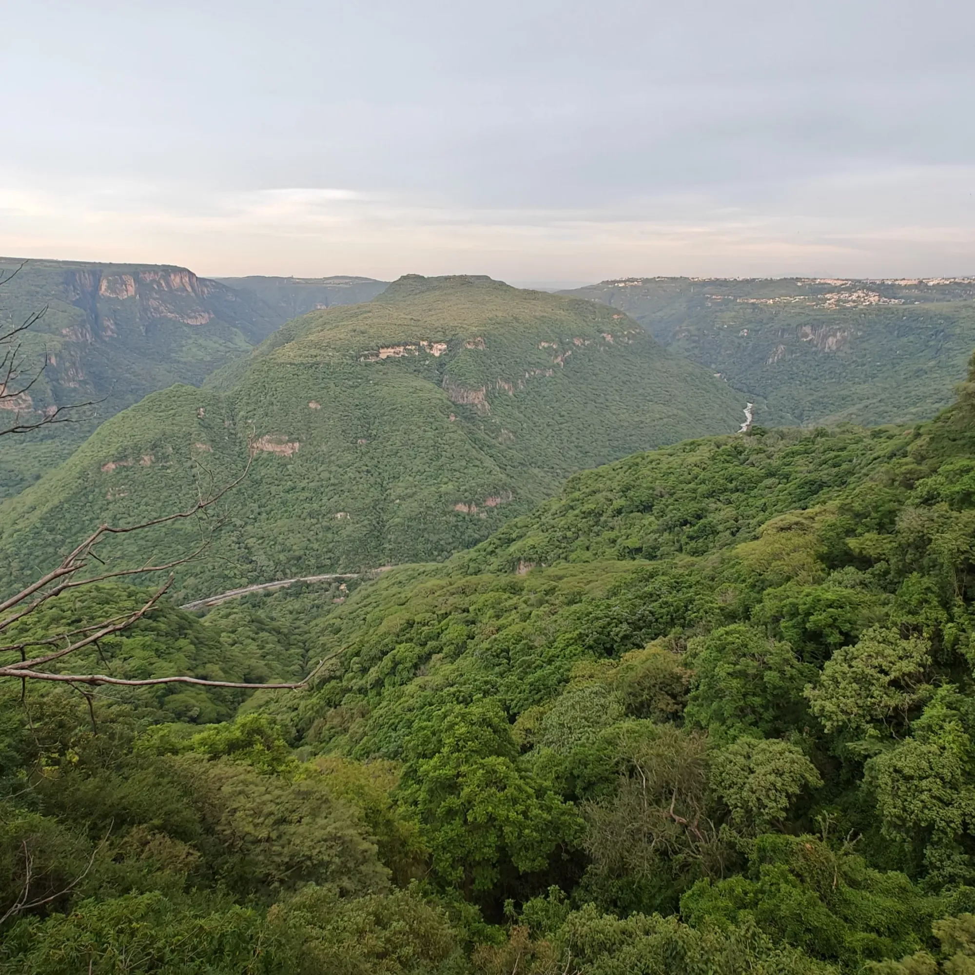 Viewpoint from the top of the canyon walls