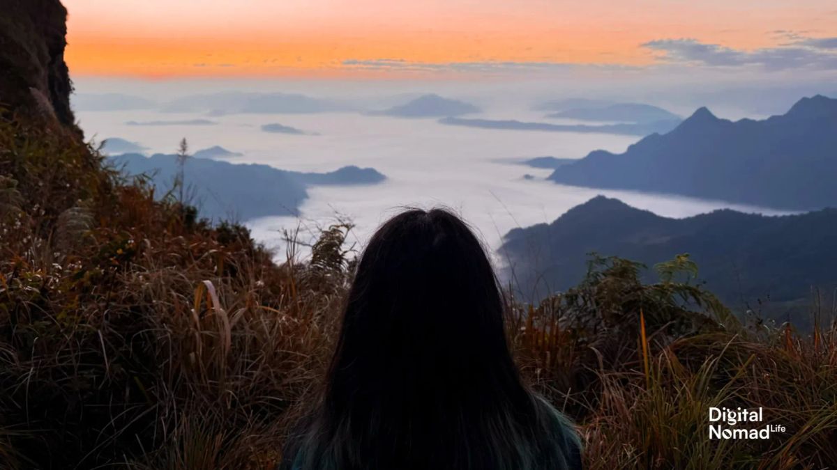 About Digital Nomad Life 🌏