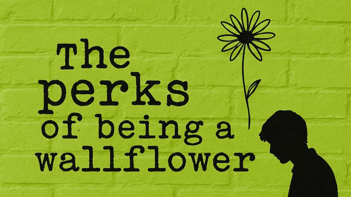 The Perks of Being a Wallflower by Stephen Chbosky conceptual book cover