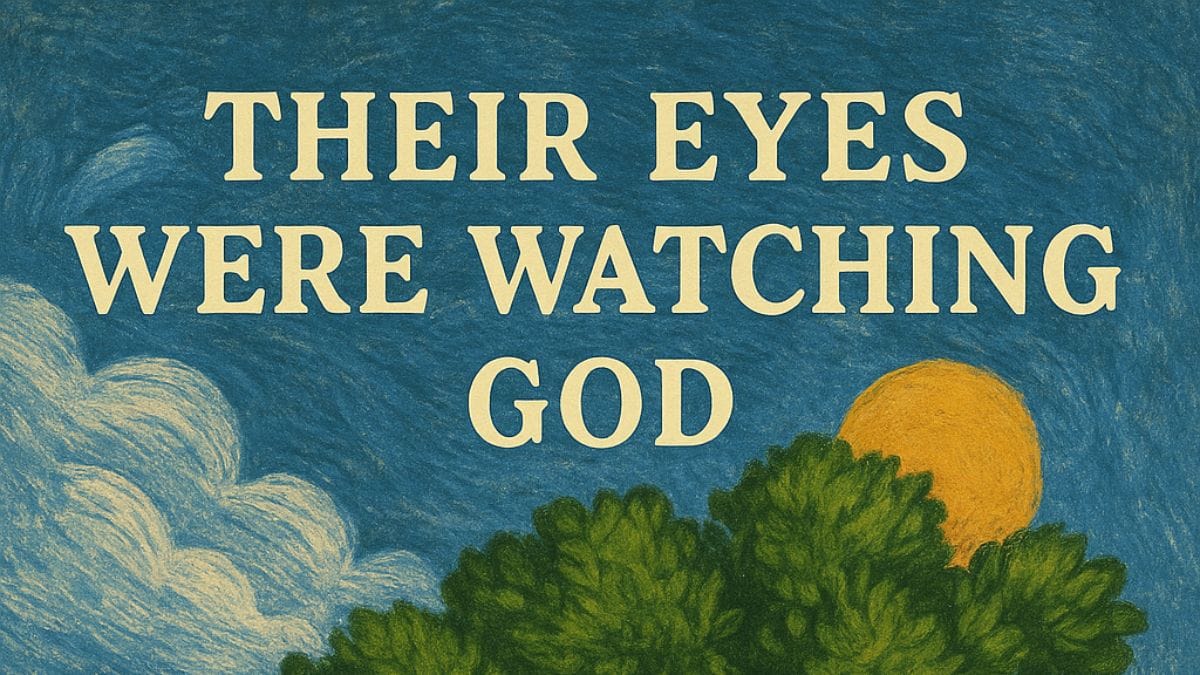 Their Eyes Were Watching God by Zora Neale Hurston conceptual book cover